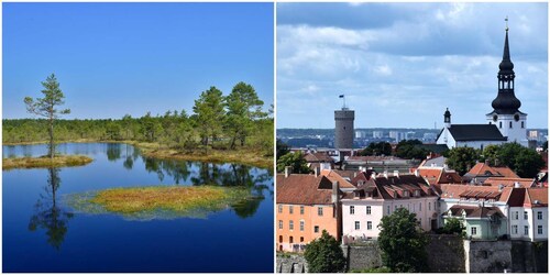 Tallinn : Visite de la vieille ville avec promenade dans les tourbières