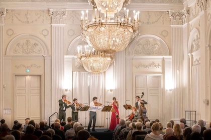 Munich: Classical Concert Recital in Max-Joseph-Hall