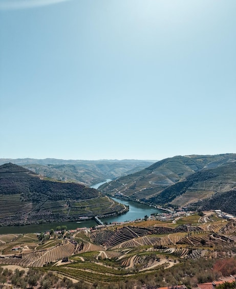 Picture 15 for Activity Porto: Douro Valley Full-Day Boat, Train, and Lunch Tour