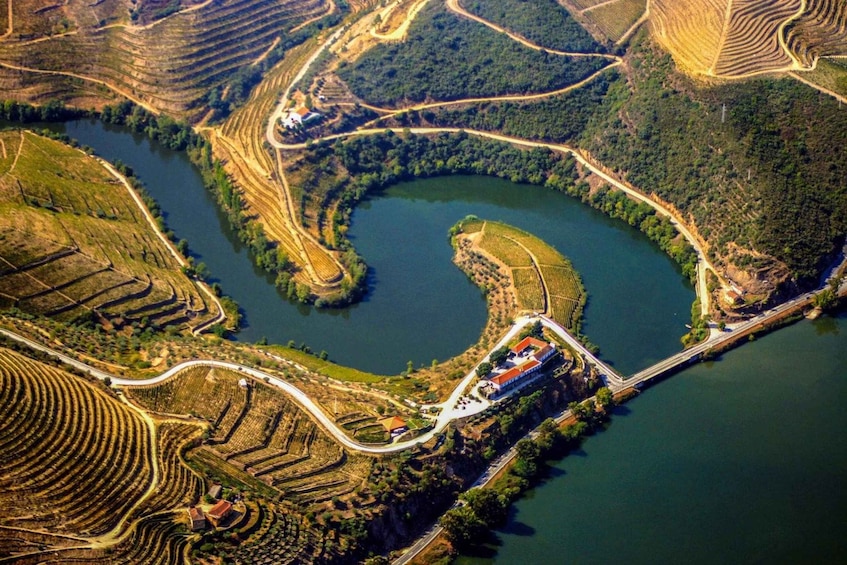 Picture 7 for Activity Porto: Douro Valley Full-Day Boat, Train, and Lunch Tour