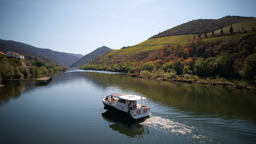 Picture 6 for Activity Porto: Douro Valley Full-Day Boat, Train, and Lunch Tour