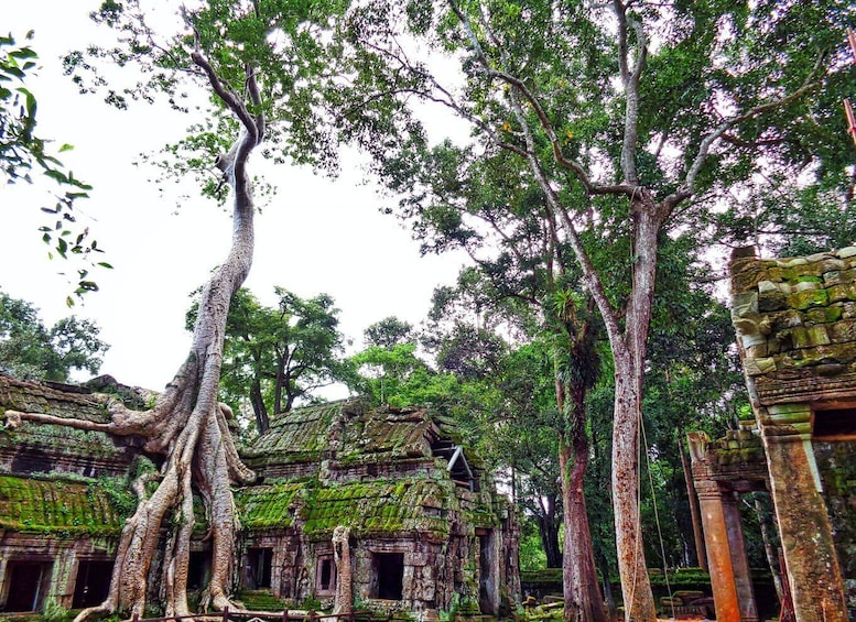 Picture 8 for Activity Angkor Region: 3-day Private Tour of Top Temples