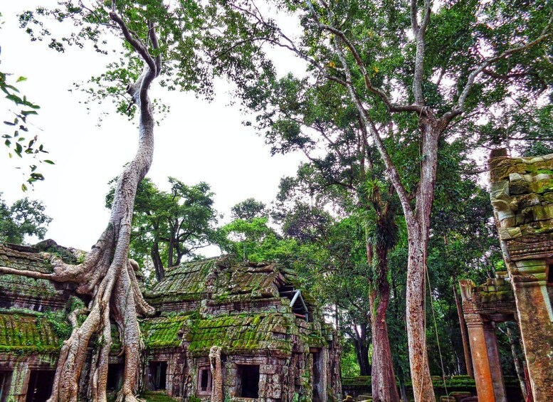 Picture 8 for Activity Angkor Region: 3-day Private Tour of Top Temples