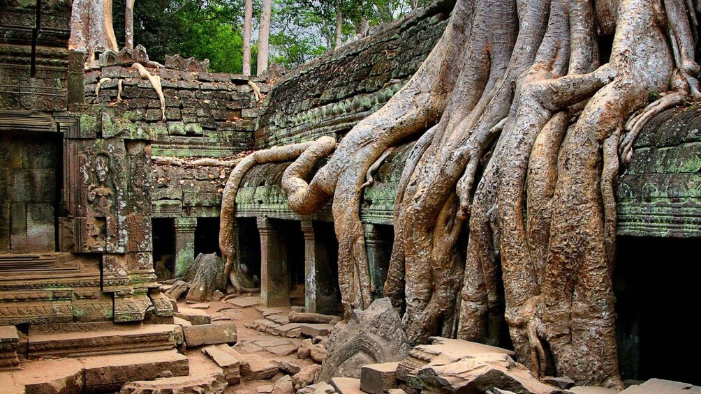 Picture 3 for Activity Angkor Region: 3-day Private Tour of Top Temples