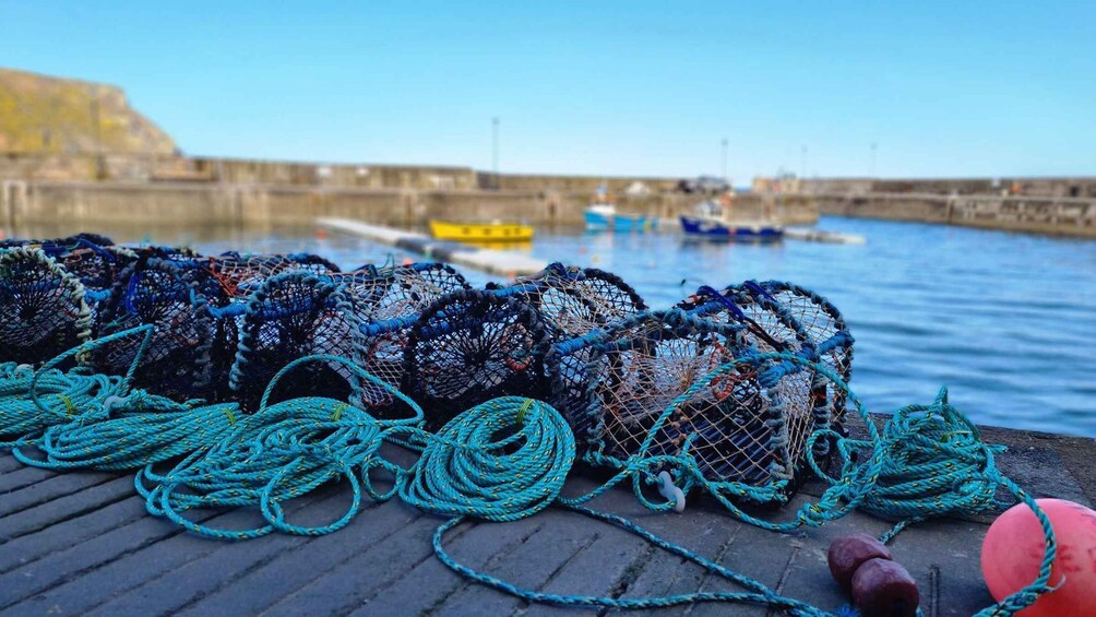 From Aberdeen: Coastal Villages of Aberdeenshire Tour