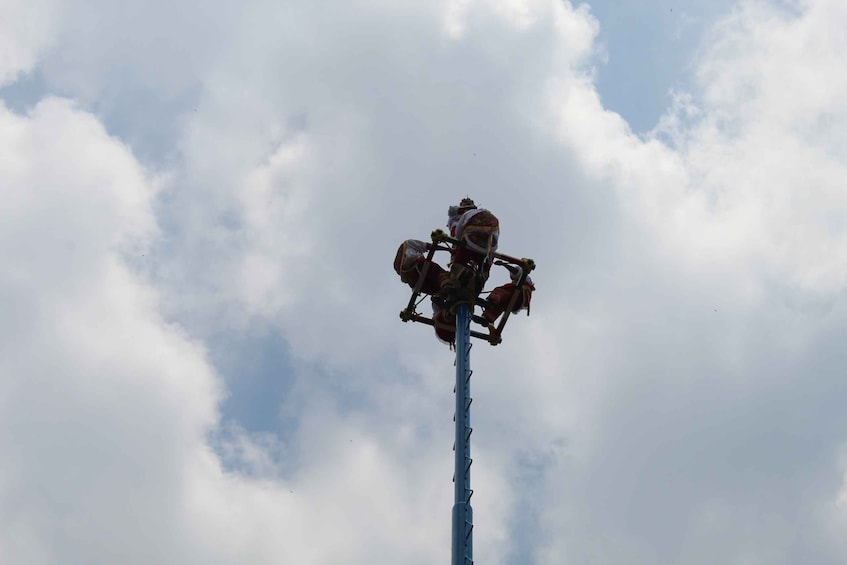 Picture 6 for Activity From Veracruz: Tajin & Papantla Tour. Fast Way