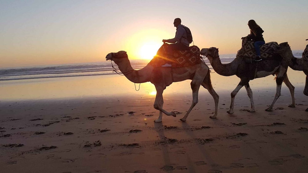 Picture 7 for Activity Agadir: Sunset Camel Riding Experience And Relaxing Massage