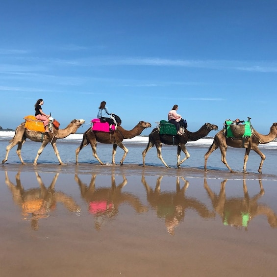 Picture 2 for Activity Agadir: Sunset Camel Riding Experience And Relaxing Massage