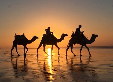 Agadir: Kamelreiten bei Sonnenuntergang und entspannende Massage