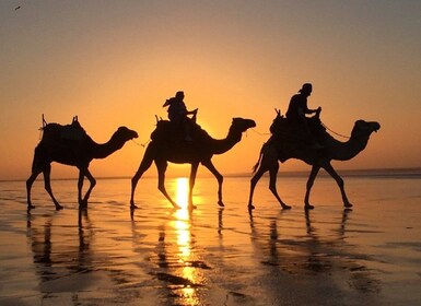 Agadir: Kamelreiten bei Sonnenuntergang und entspannende Massage