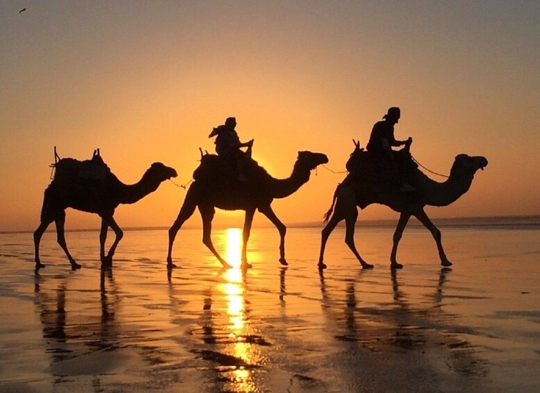 Agadir: Sunset Camel Riding Experience And Relaxing Massage