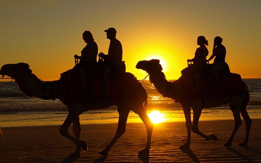 Picture 1 for Activity Agadir: Sunset Camel Riding Experience And Relaxing Massage