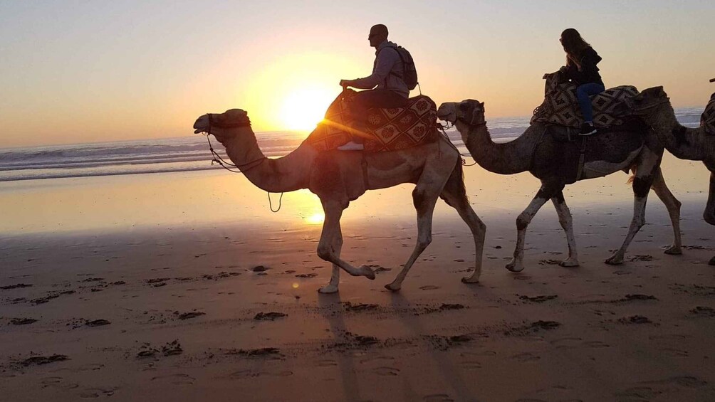 Picture 7 for Activity Agadir: Sunset Camel Riding Experience And Relaxing Massage