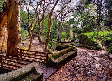 Monchique og Fóia: Halvdagstur