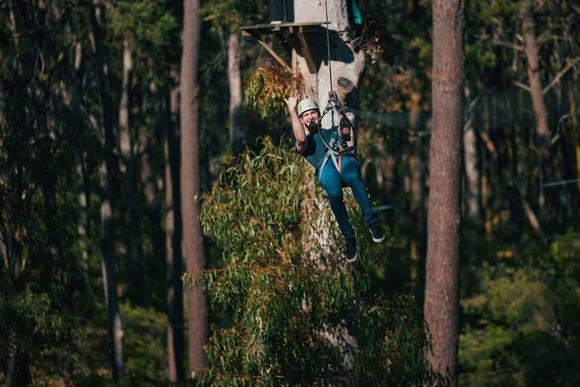 Picture 4 for Activity Busselton: Forest Adventure with Zip Lining and Rope Course