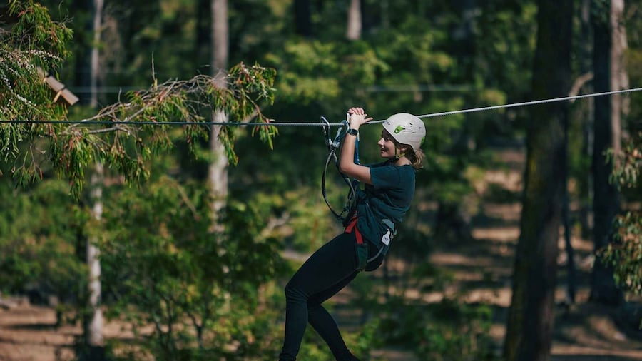 Busselton: Forest Adventure with Zip Lining and Rope Course
