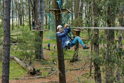 Busselton: 2.5-Hour High Ropes Course