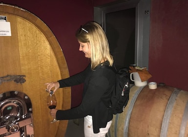 From Baku: Off-Road Gobustan and Wine Tour with Local Lunch
