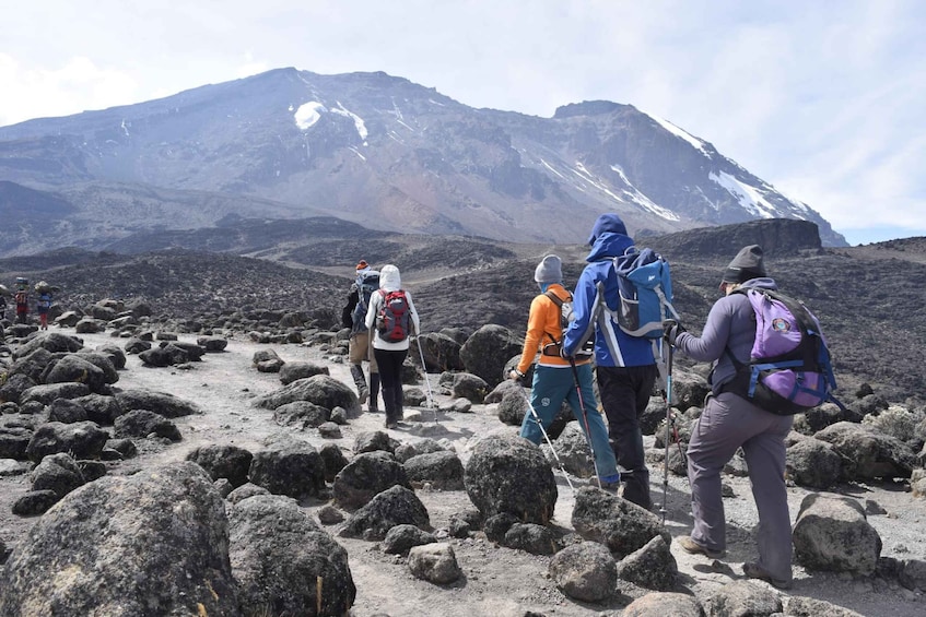 Picture 4 for Activity Kilimanjaro Climb - Rongai 6 Days 5 Nights