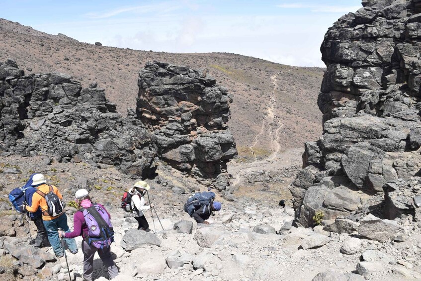 Picture 6 for Activity Kilimanjaro Climb - Rongai 6 Days 5 Nights