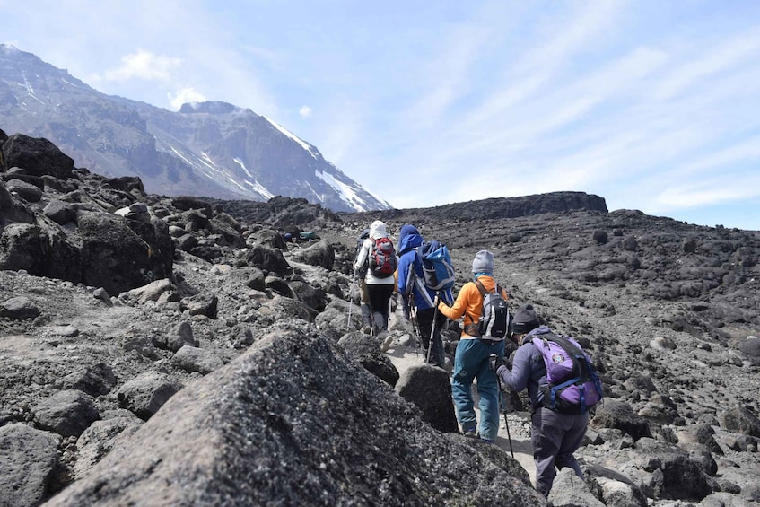 Picture 5 for Activity Kilimanjaro Climb - Rongai 6 Days 5 Nights