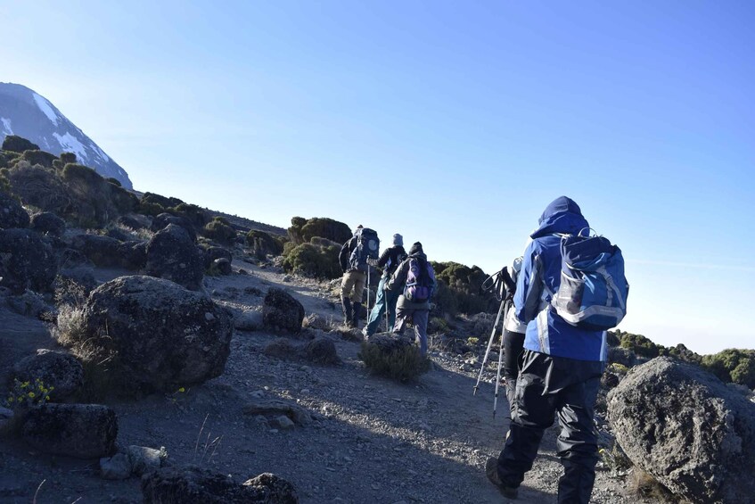 Picture 1 for Activity Kilimanjaro Climb - Rongai 6 Days 5 Nights