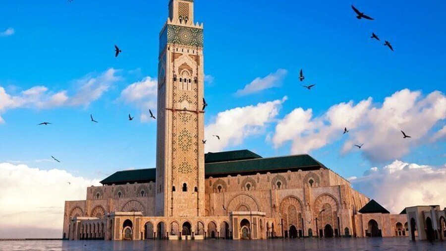 Tour of Casablanca from cruise or hotels