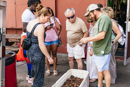 Nueva Orleans: tour de comida, bebidas e historia del distrito Garden