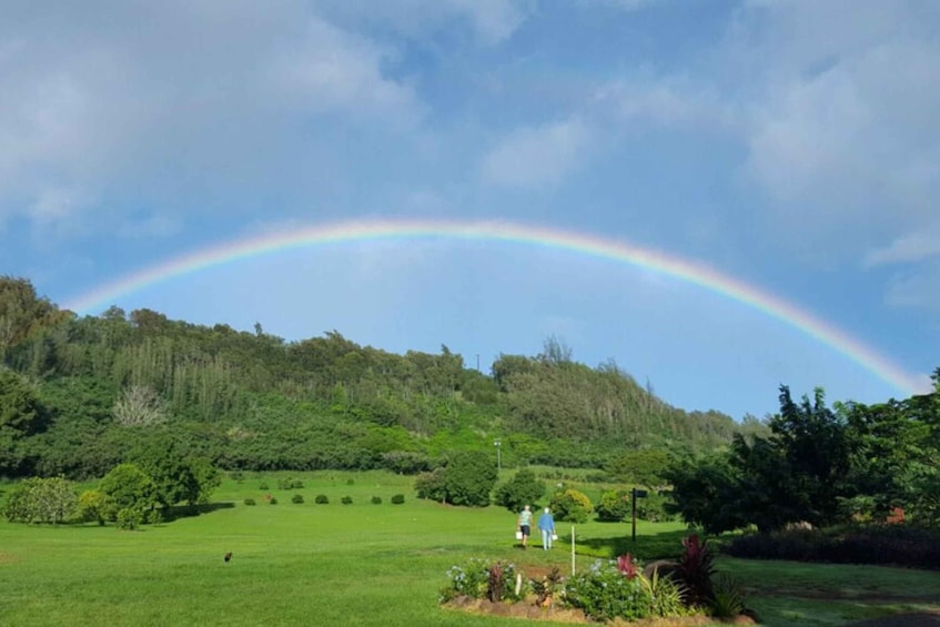 Picture 7 for Activity Kauai: McBryde Garden Self Guided Visit