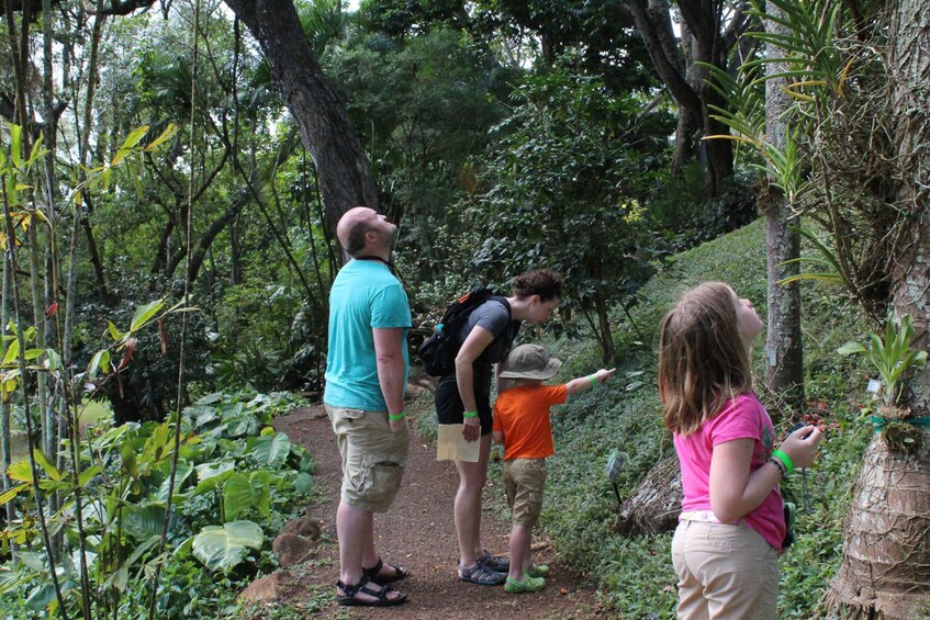 Picture 4 for Activity Kauai: McBryde Garden Self Guided Visit