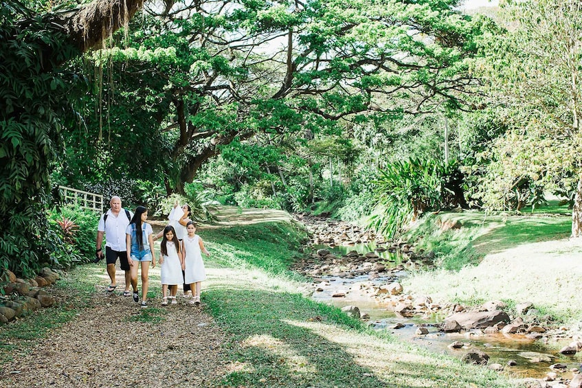 Picture 3 for Activity Kauai: McBryde Garden Self Guided Visit