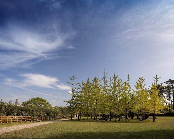Picture 17 for Activity Porto: Serralves Foundation Entry Ticket