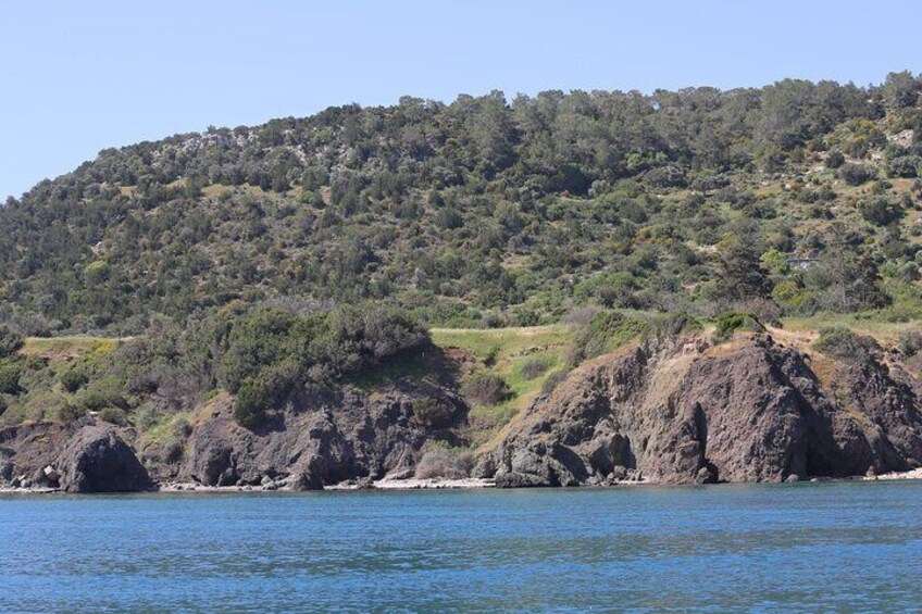 3-hour Blue Lagoon Trip with live guitarist departing from Latchi Harbour