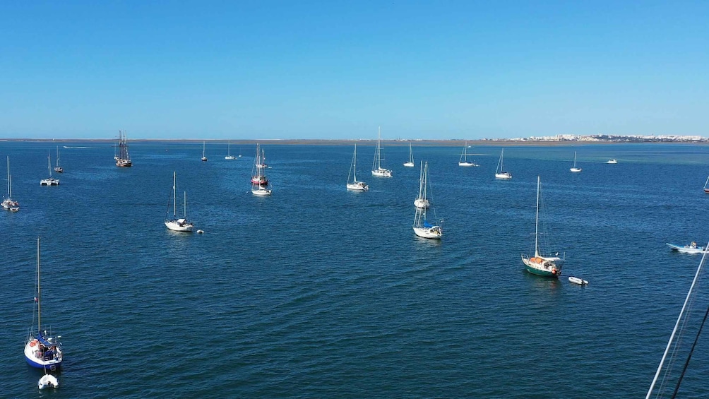 Picture 25 for Activity From Olhão: Ria Formosa 3-Island Full-Day Tour