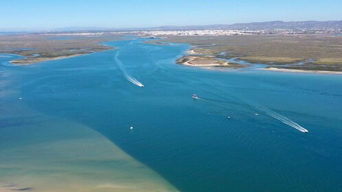 Fra Olhão: Heldagstur til Ria Formosa med tre øyer