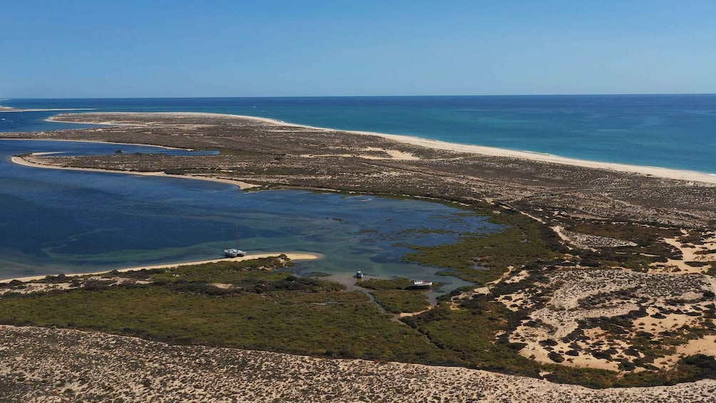 Picture 26 for Activity From Olhão: Ria Formosa 3-Island Full-Day Tour