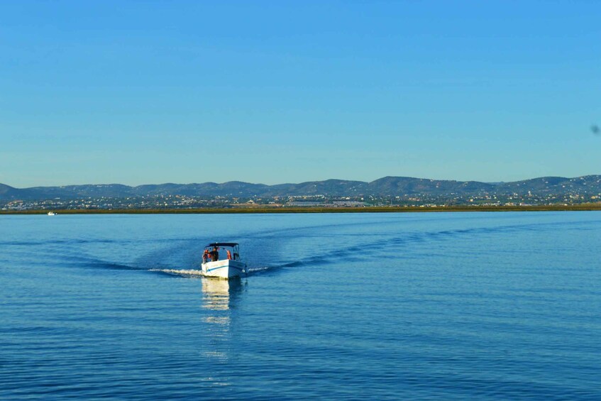 Picture 9 for Activity From Olhão: Ria Formosa 3-Island Full-Day Tour