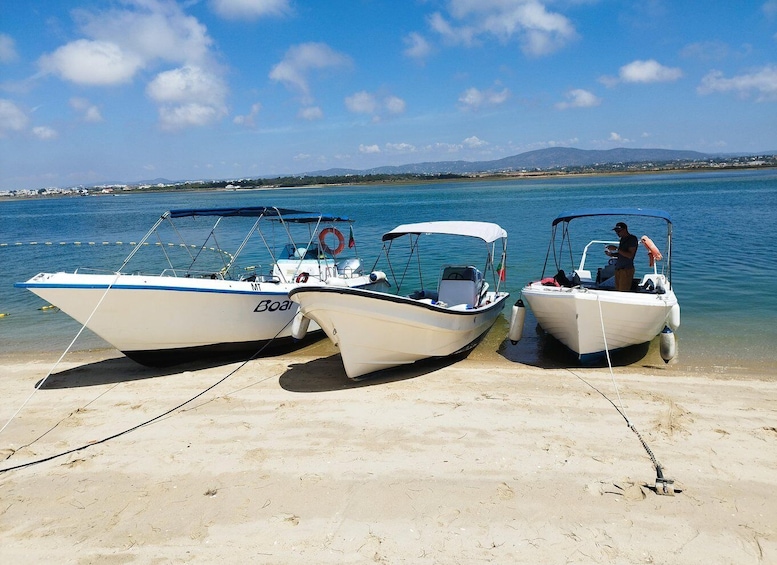 Picture 4 for Activity From Olhão: Ria Formosa 3-Island Full-Day Tour