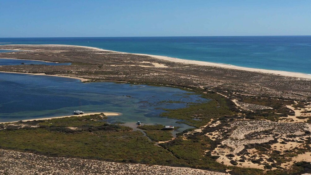 Picture 26 for Activity From Olhão: Ria Formosa 3-Island Full-Day Tour