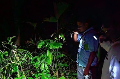 Private night adventure in Manzanillo refuge