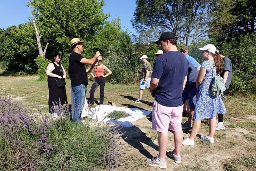 Picking and distillation workshops
