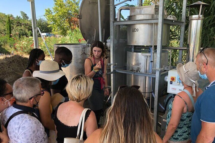 Demonstration of distillation of essential oils