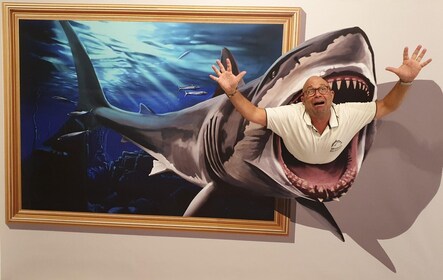 ฟุงชาล: พิพิธภัณฑ์ศิลปะ 3D Fun