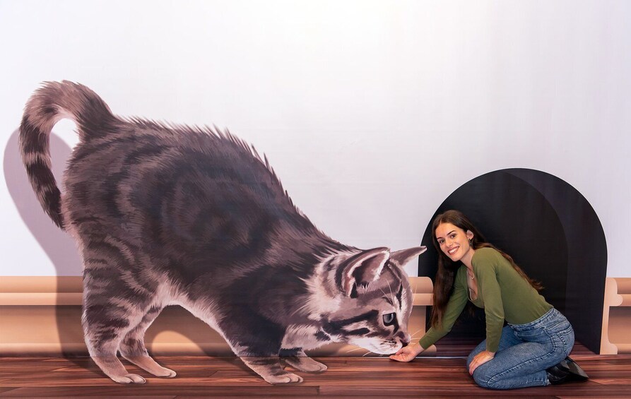 Picture 3 for Activity Funchal: 3D Fun Art Museum