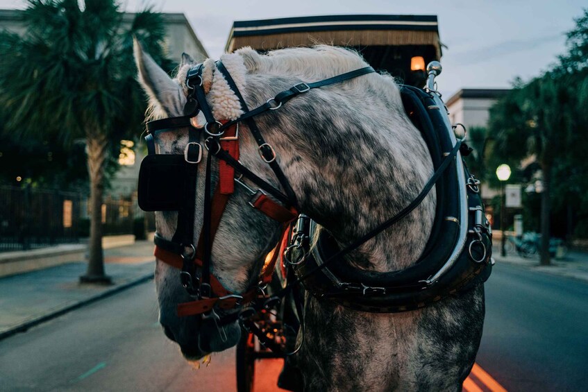 Picture 2 for Activity Charleston: Haunted Carriage Evening Tour