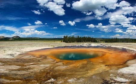 Von Jackson: Tagesausflug zum Yellowstone-Nationalpark mit Mittagessen