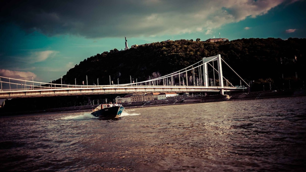 Picture 3 for Activity Luxury Danube Water Limousine Cruise