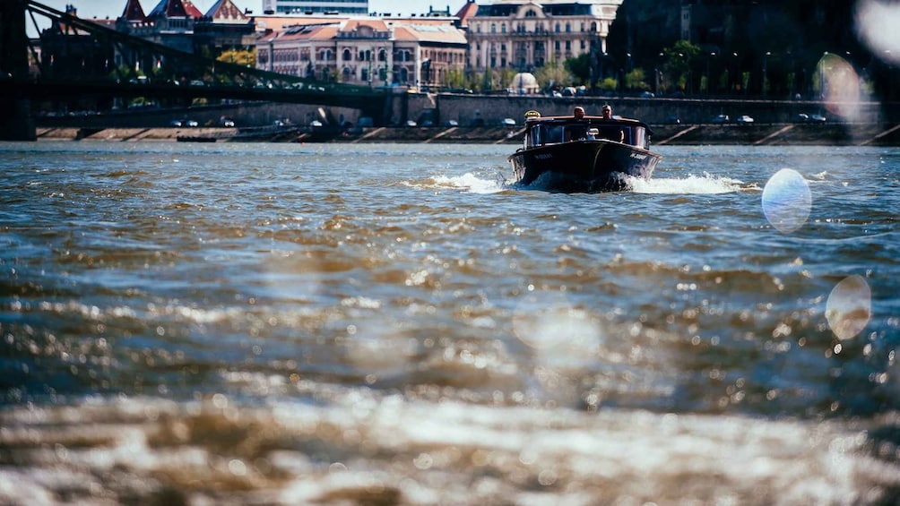 Picture 7 for Activity Luxury Danube Water Limousine Cruise