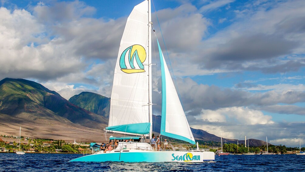Catamaran off the coast of Maui