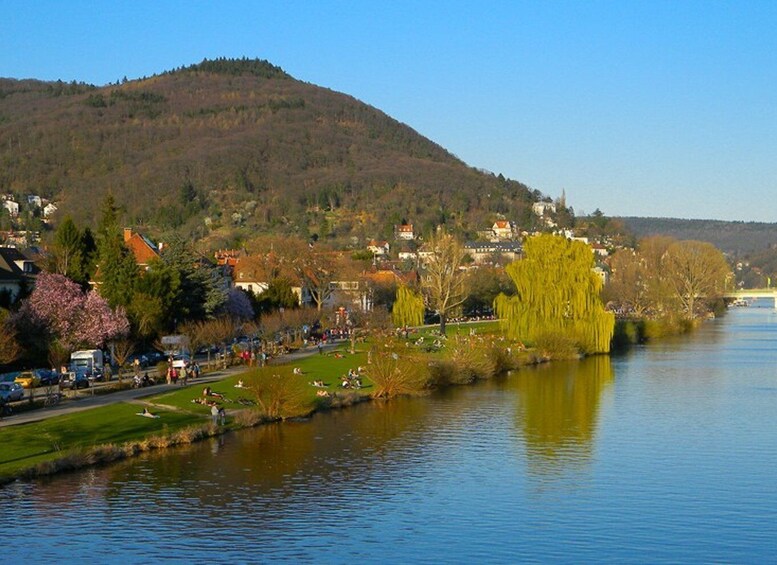 Picture 4 for Activity Heidelberg: City of Romance 2-Hour Walking Tour